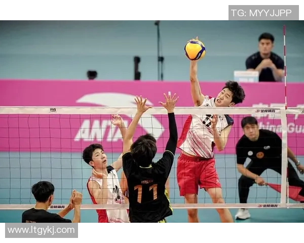 重庆排球队强势崛起最新排球个人能力排行榜前十名揭晓